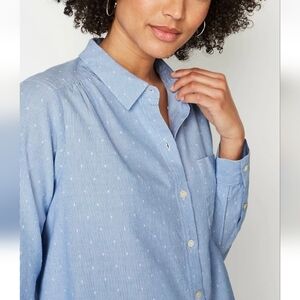 J.jill 3X Blue Striped Button-Up Shirt